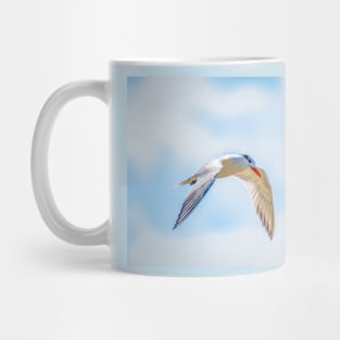 Royal Tern Catching the Sunlight Mug